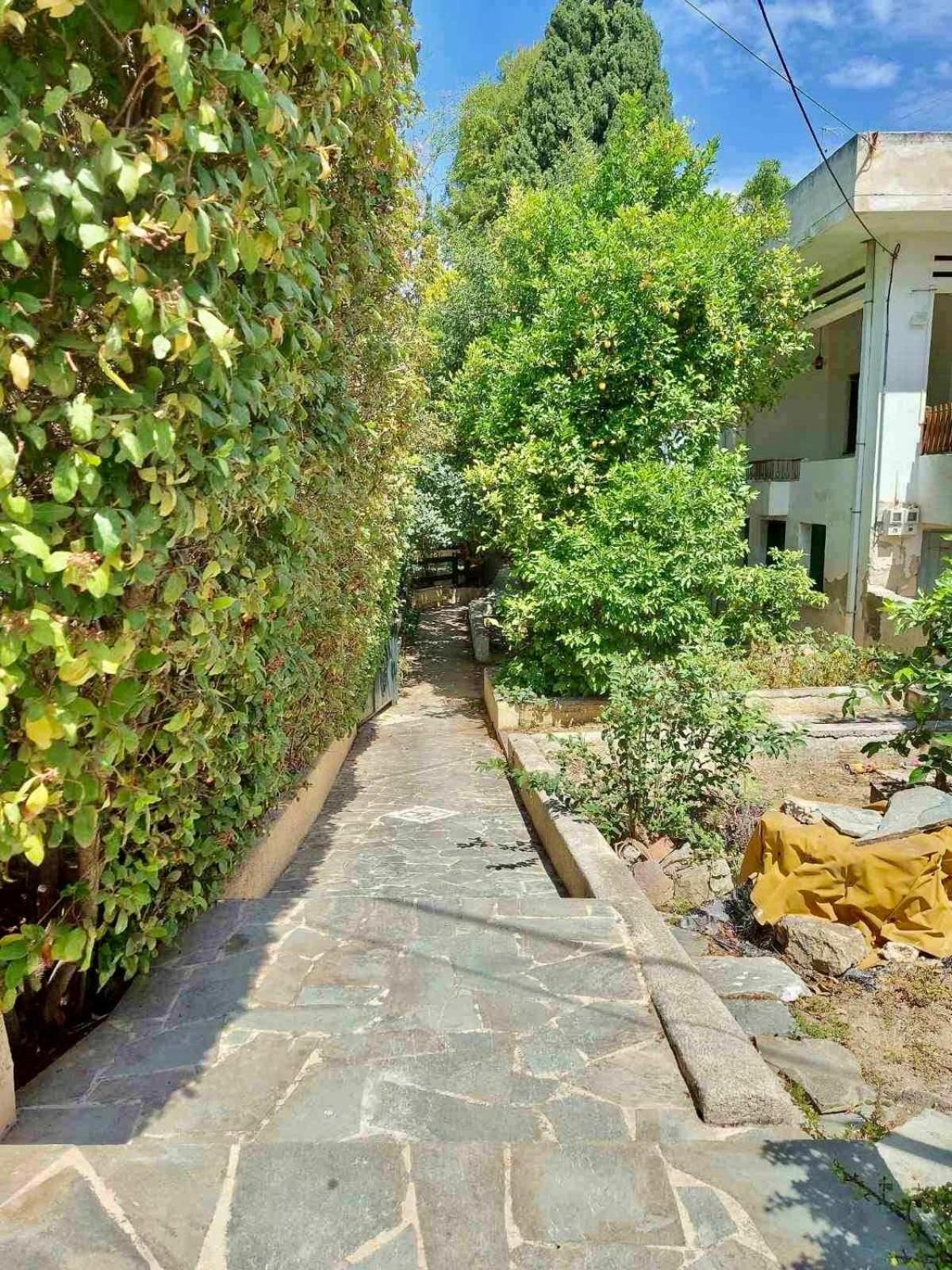 Utopia Suites 3 Aegina المظهر الخارجي الصورة
